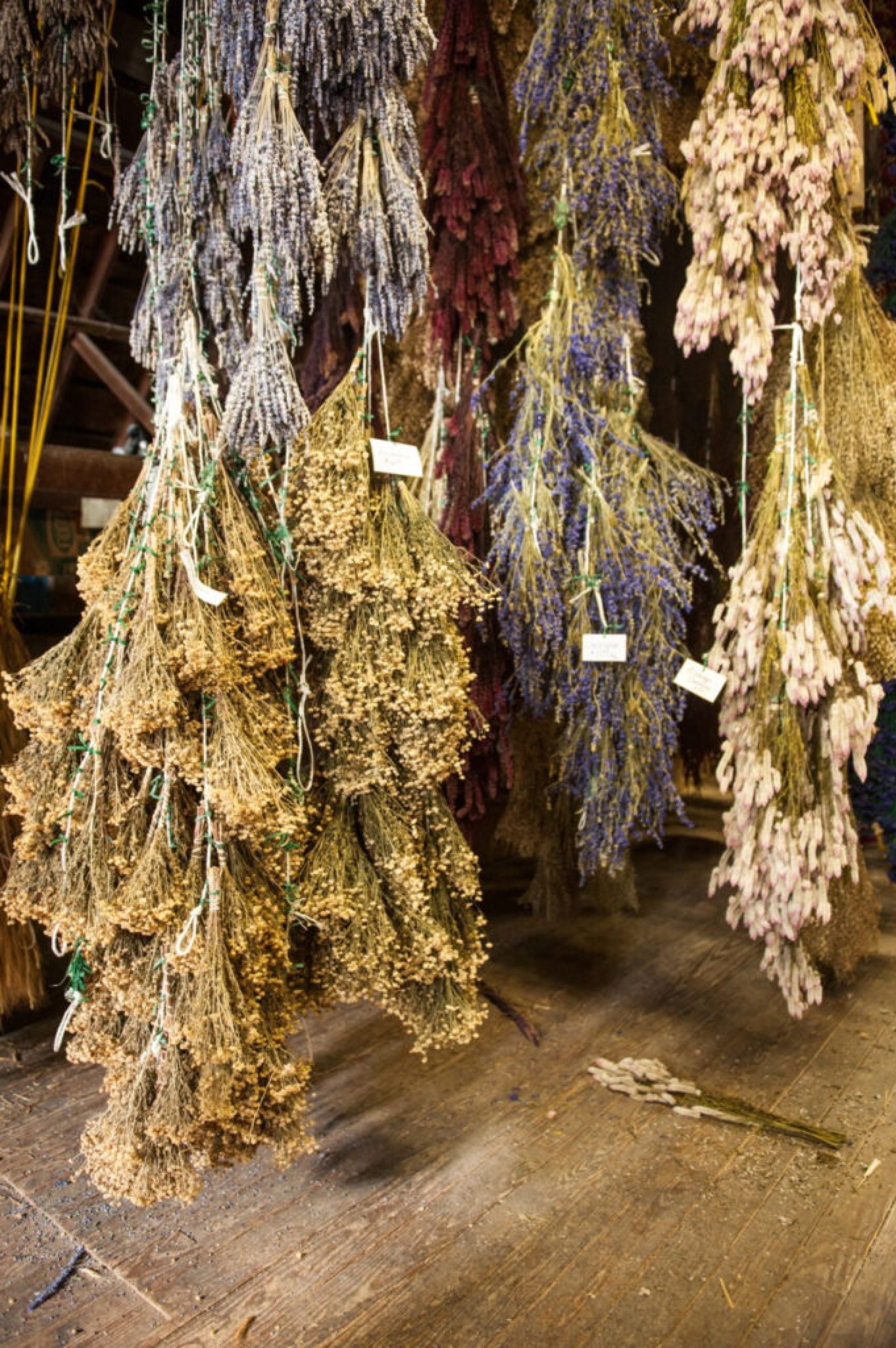 Dried flowers at Howell's Farm in Madison County, Iowa.