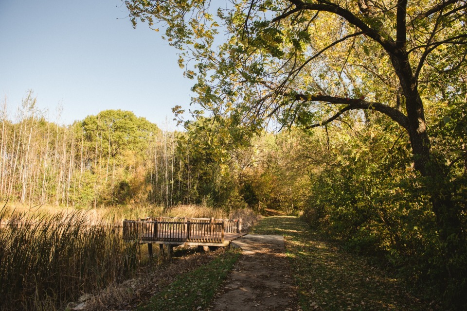 Fellowship Forest photo