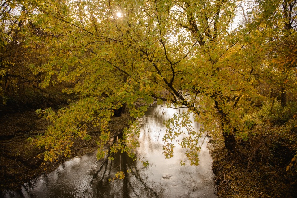 Guye Woods County Park photo